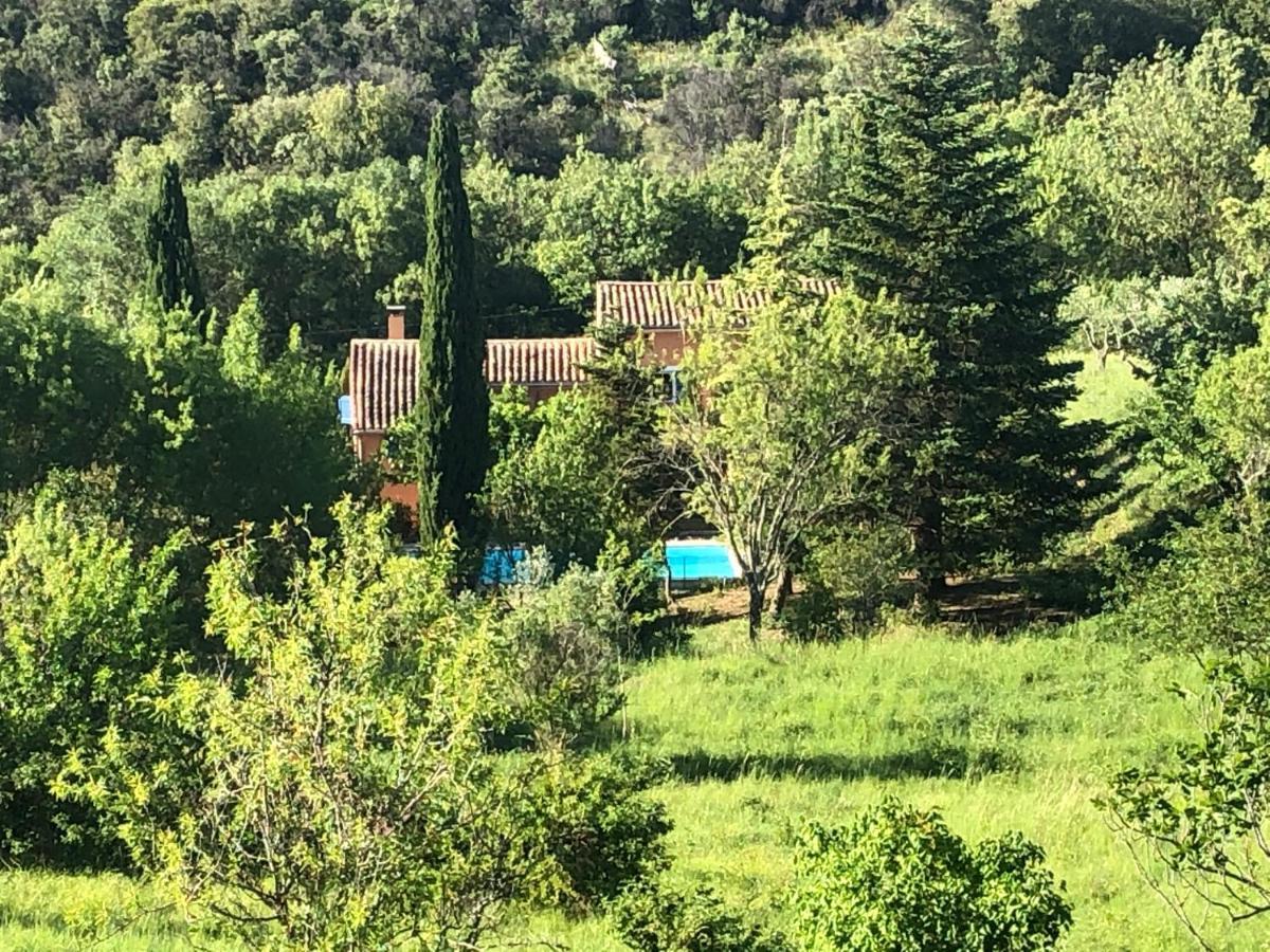Le Mas Cevenol Villa Saint-Hilaire-de-Brethmas Bagian luar foto