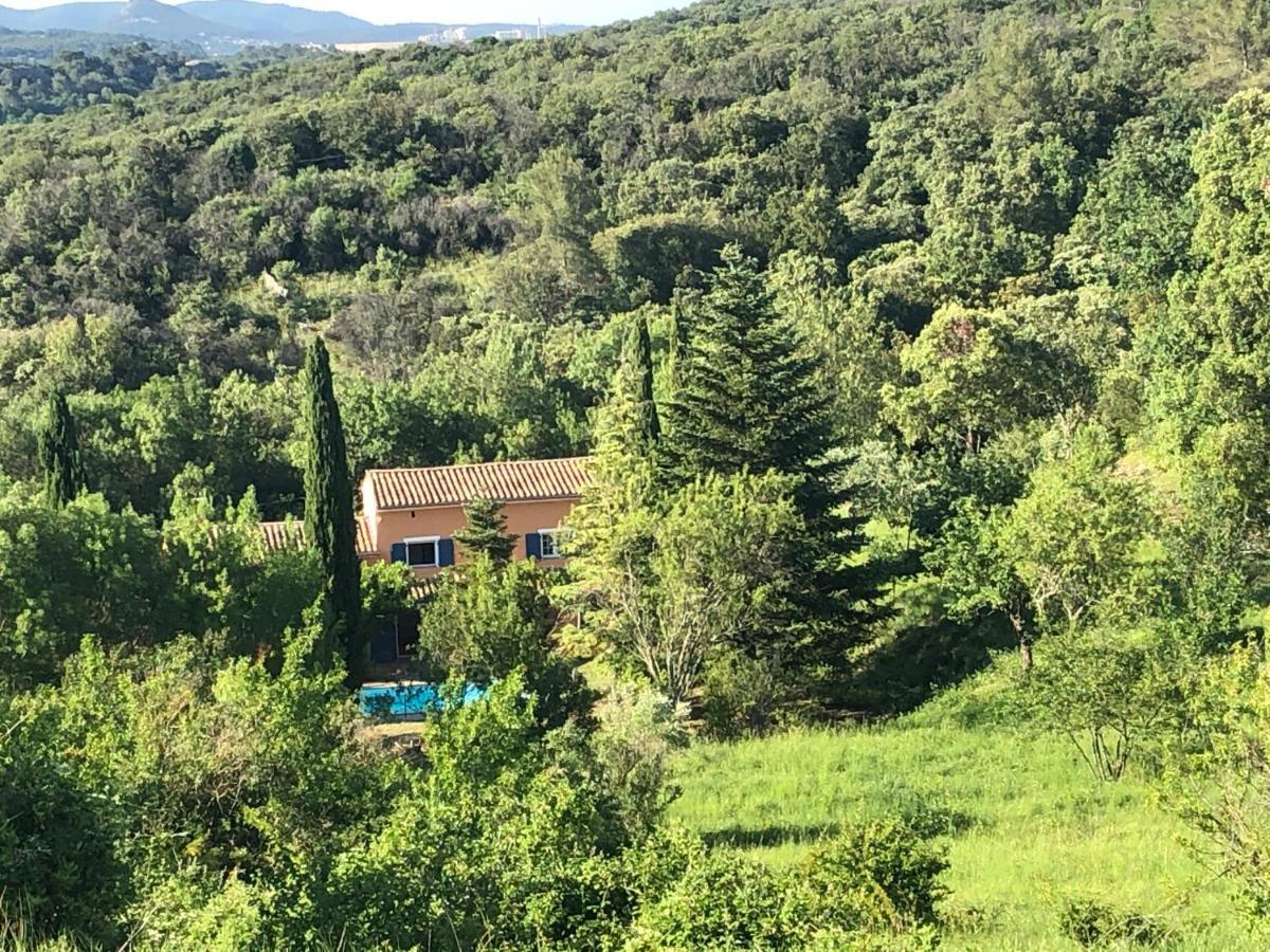 Le Mas Cevenol Villa Saint-Hilaire-de-Brethmas Bagian luar foto